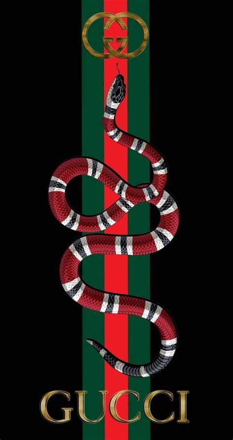 what kind of snake is on gucci|why does gucci use snake.